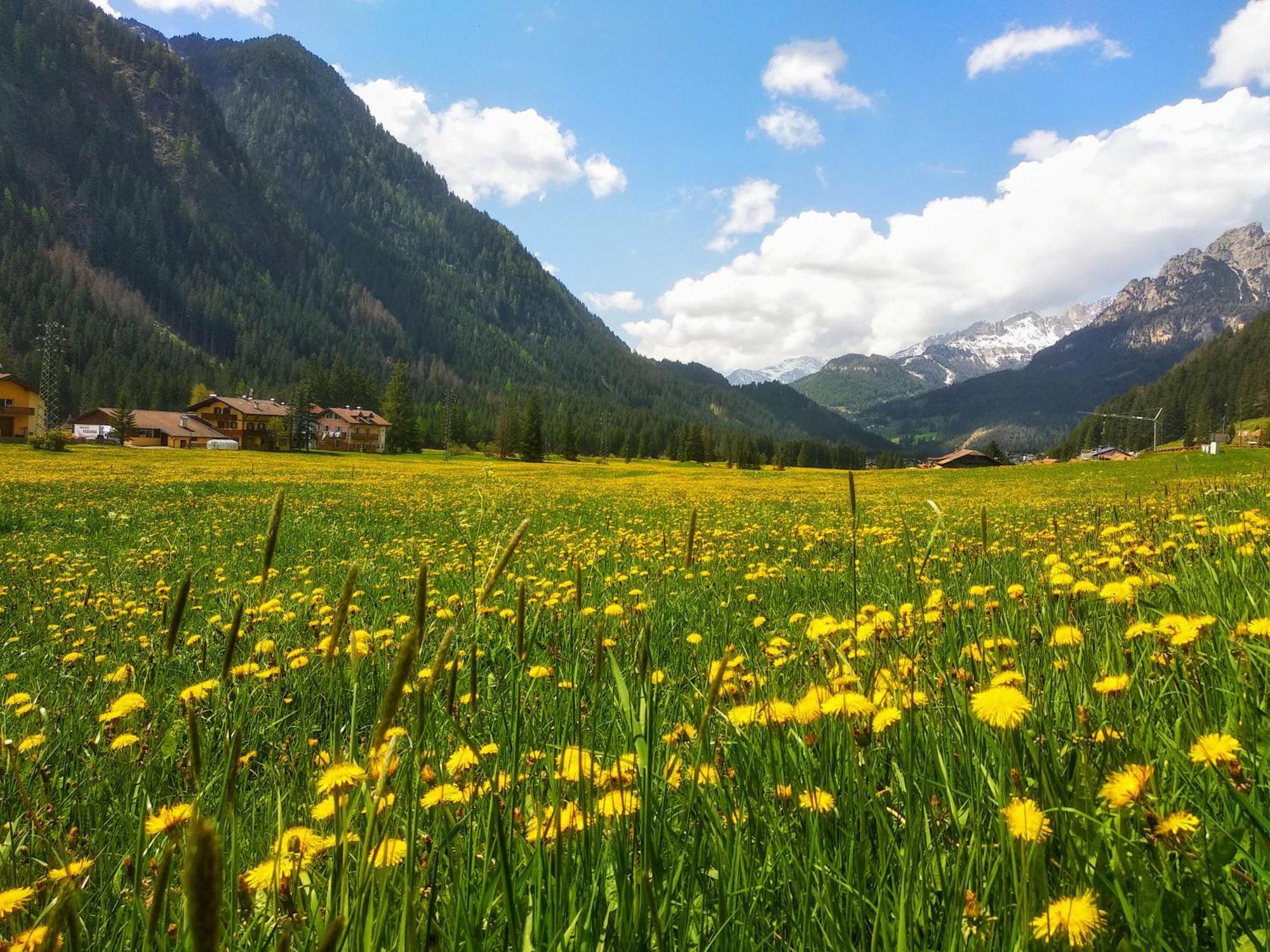 Appartamenti Residence Rodolon Campestrin Dış mekan fotoğraf